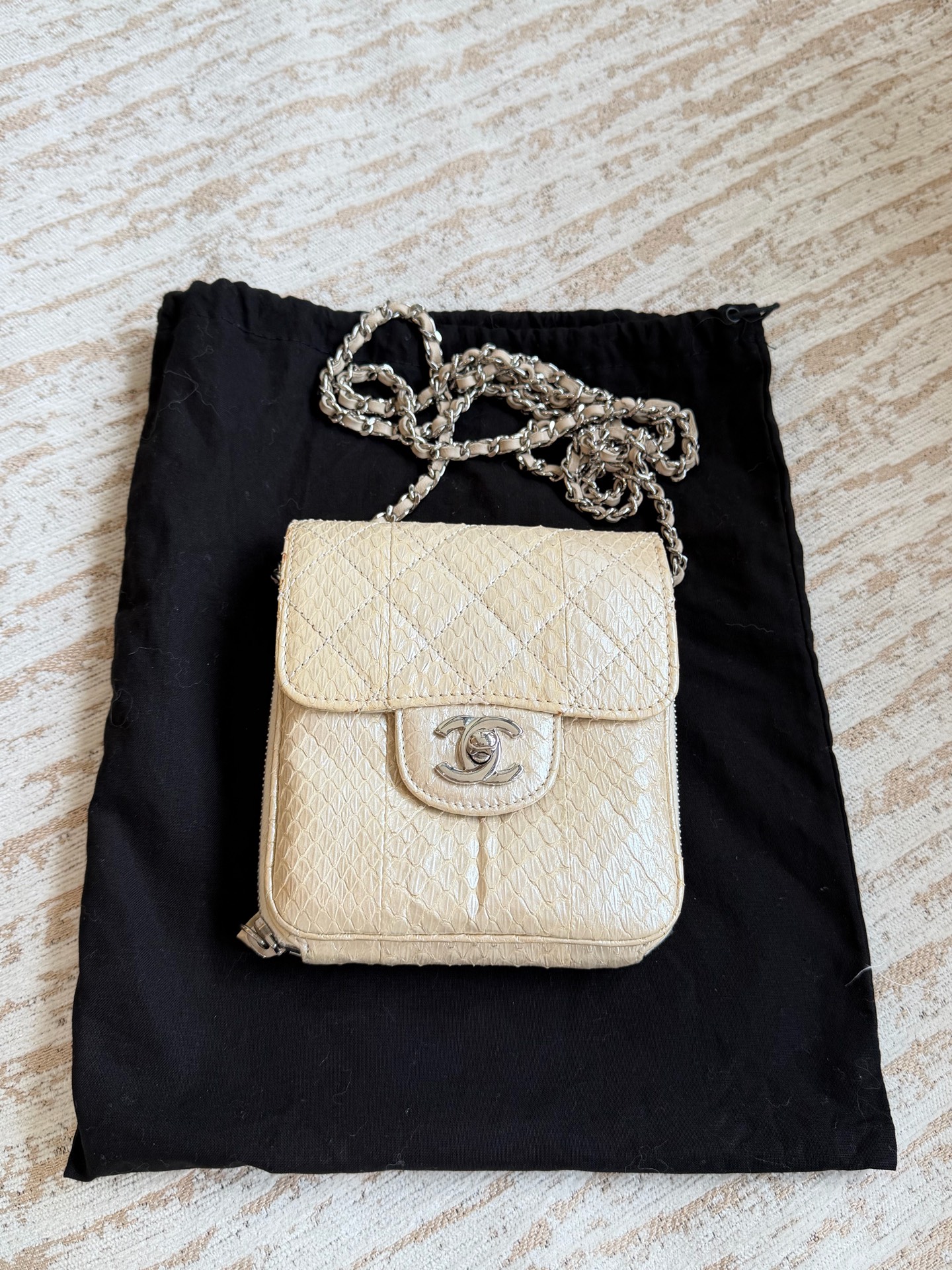 Chanel Champagne Gold Snakeskin Pocket Chain Bag